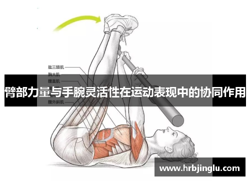 臂部力量与手腕灵活性在运动表现中的协同作用